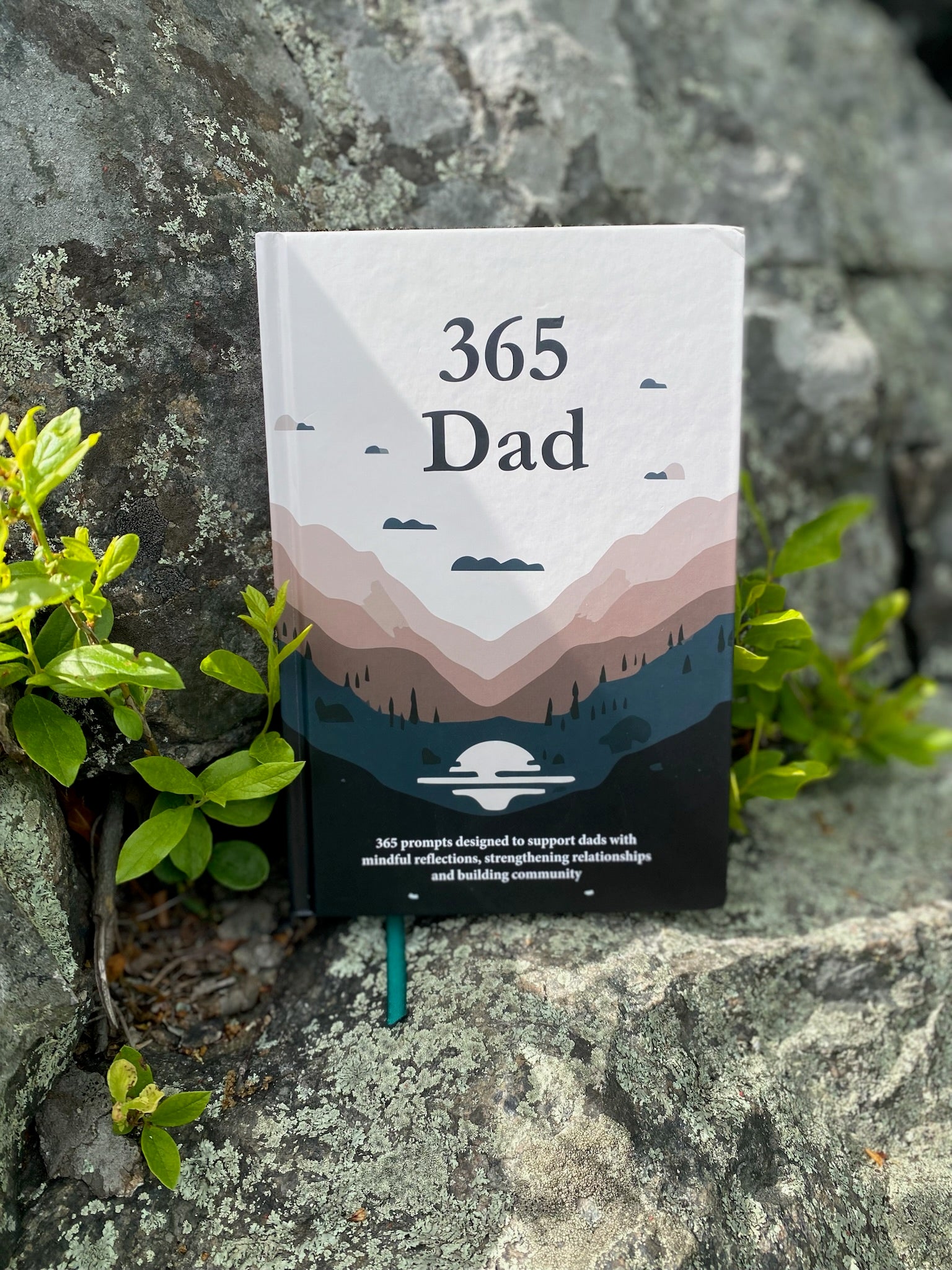 365 Dad Journal